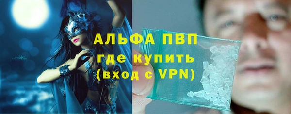 стафф Алексин