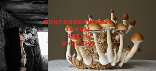 кокаин колумбия Алзамай