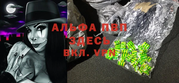 стафф Алексин