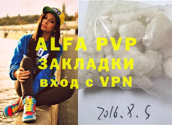 стафф Алексин