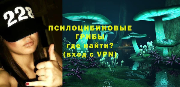 стафф Алексин